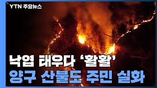 '강풍에 낙엽태우다 활활'...양구 산불도 주민 실화 / YTN