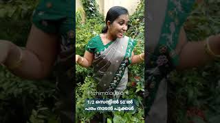 #1/2സെന്റിൽ 50ൽ പരം നാടൻ പൂക്കൾ,