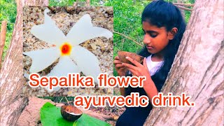 Sepalika flower ayurvedic drink