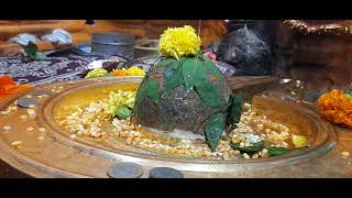 rinmukteshwar mahadev puja rudrabhishek