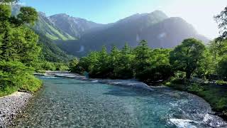 Beautiful river sounds, birds chirping, best sounds of nature in the mountains,