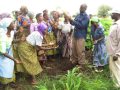 transforming barren fields into productive farmlands in malawi through permaculture