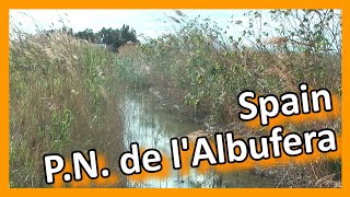 Spain - Parc Natural de l'Albufera