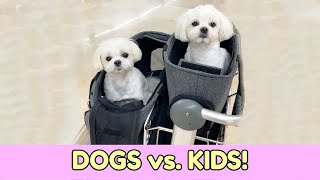 犬を連れて旅行する vs 子供を連れて旅行する