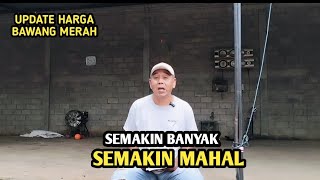 SEMAKIN BANYAK SEMAKIN MAHAL | UPDATE HARGA BAWANG MERAH BJM CHANNEL