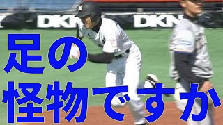 荻野貴が驚異の俊足で内野安打 3月27日 ロッテ-日本ハム