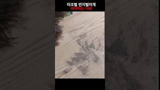 타조털 먼지털이개 써야하는 이유 흡착 먼지털이의 놀라운 효과