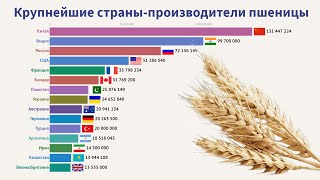 Крупнейшие страны-производители пшеницы (1960-2018)