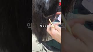 악성곱슬매직  #습식매직 #대구매직 #악성곱슬전문점 #곱슬머리전문점 #곱슬머리전문디자이너