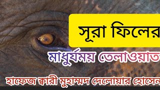 সুরেলা কন্ঠে সূরা ফীল এর তেলাওয়াত Hafiz Qureshi Muhammad Dilawar Hussain, Islamic video