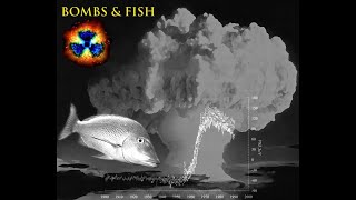 Bombs and Fish Seminar - Uppsala University 2021