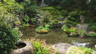 実光院　京都の庭園　Jikko-in Temple The Garden of Kyoto Japan Full HD