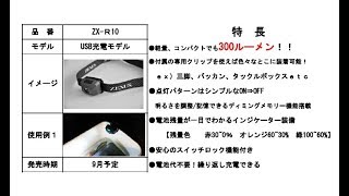 冨士灯器　「ZX-R10」