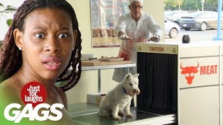 Cute Dog Gets Caught In Meat Grinder