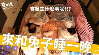 【黑白波 FUNTUTU】和兔子睡覺會發生什麼事呢?!!