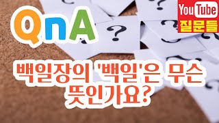 백일장의 '백일'은 무슨 뜻인가요?