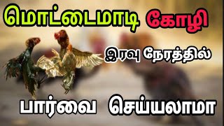 Terrace hen Farming| Night மொட்டைமாடி கோழி வளர்ப்பு