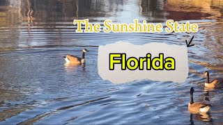 Discover the Beauty of Florida: Nature at Its Best