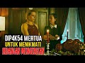 PET4K4 SETELAH MENGUNJUNGI MERTUA YANG MEMILIKI KEBIASAAN 4N3H. #reviewfilm