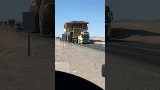 Transports giant truck Cat 797B #shors