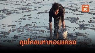 ชาวสตูลลุยโคลนหาหอยแครงขายสร้างรายได้สู้โควิด-19 | เรื่องดีดีทั่วไทย