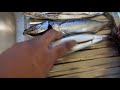 Cooking Skip Jack Fish from Manus, PNG