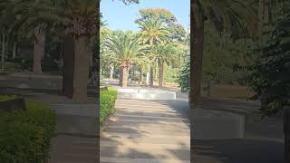Parque García Sanabria, Santa Cruz de Tenerife +27°C 15:19 January 28, 2024 #tenerife #parque