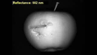 Hyperspectral Imaging   apple