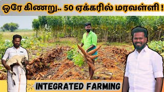 Drip Irrigation | 50 ஏக்கரில் மரவள்ளி- ஆடு.. கோழி.. மீன் வளர்ப்புடன் Integrated farming | sivagangai