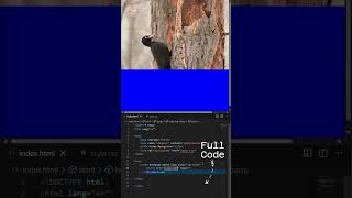 How to Add Background Video in HTML & CSS | #shorts #shortsvideo #viral