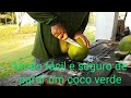 Como partir um coco verde com segurança