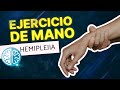 Ejercicios para MANO - HEMIPLÉJIA 🖐 ¿Cómo recuperar la movilidad de la mano?