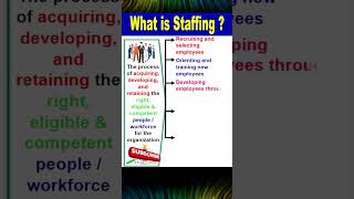 What Is Staffing ? ║ Functions of Management