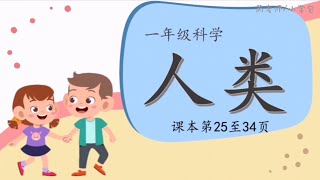 一年级科学《人类》