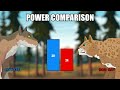 woodland animals power comparison animal animation