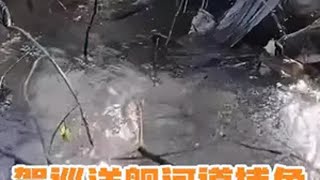 库里拉驾巡洋舰河道捕鱼，罗非鱼接连上钩，挑战清道夫状况百出 捕鱼达人  抓鱼  钓鱼  捞鱼也是技术活