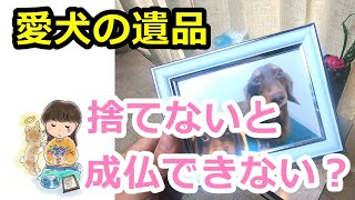 【ペットロス】亡くなった愛犬の遺品を捨てないと成仏できない？ 捨てるべきか、捨てないべきか 犬の死後 魂