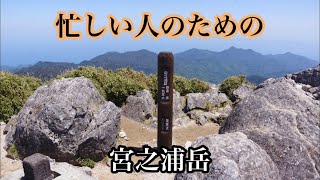 【忙しい人のための】屋久島 宮之浦岳【快晴、絶景！世界遺産】九州最高峰