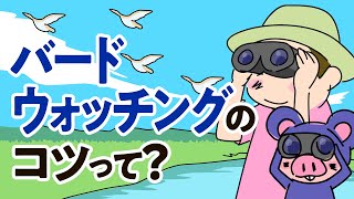 【解説】バードウォッチングとは？【漫画動画】