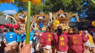 令和6年(2024)正八幡神社秋季例祭　本宮宮入3台練り(御立中野八幡)