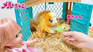 メルちゃん ペットを飼う 赤ちゃんが生まれるた！ | Little Live Pets Mama Surprise