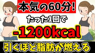 【痩せないわけがない🔥鬼ハード👹】60分有酸素で脂肪が燃えまくる✨家でも出来る🔥高強度エクササイズ🥊マンションOK! BodyCombat Inspired【 ボクササイズ 痩せるダンス 】