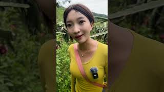 旅游到了 西双版纳的 芭蕉林里 遇到了 性感又漂亮的 小姑娘  #西双版纳 #中缅边境#六国交界#老挝山#记录真实生活 #乡村守护人 #我的乡村生