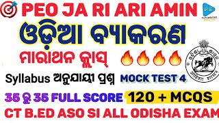 Odia Grammar | PEO JA |RI ARI AMIN | CT B.ED | ASO | All Odisha Exam