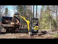 2 ton chinese excavator fallen tree cleanup