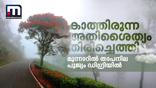 കാത്തിരുന്ന അതിശൈത്യം തിരിച്ചെത്തി; മൂന്നാറിൽ സീസണിൽ ആദ്യമായി താപനില പൂജ്യം ഡിഗ്രിയിൽ