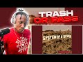 TRASH or PASS! System Of A Down ( Science ) [REACTION!!!]