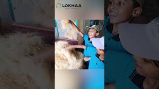 Grade 1- Day-out - Coconut Processing Unit | Lokhaa