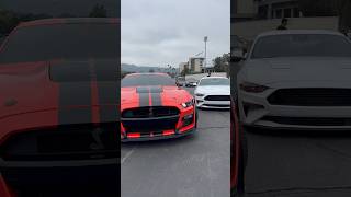 Shelby GT500 Rolling Though Car Meet 🏎️