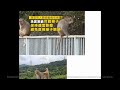 男子遭香港金山郊野公園野猴襲擊感染猴疱疹病毒 漁護署籲勿餵食或四目交投 yahoo hongＫＯＮＧ ＮＥＷＳ ２０２４